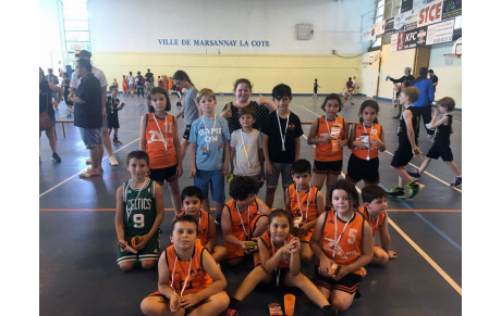 Fête du mini-basket en Côte d'Or 2 juin 