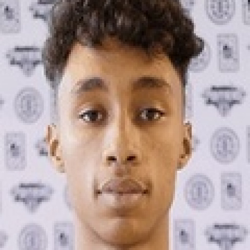 David Mondjongo- Zebot